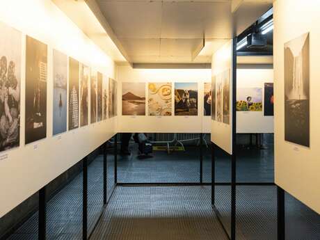 Exposition - Dans mon jardin, il y a...