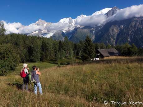 Cours de photographie en exterieur - Teresa Kaufman