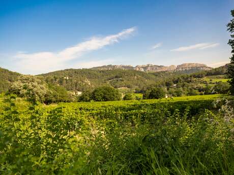 Visite en autonomie sur les pas des Bernardins