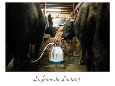 La Ferme du Lautaret