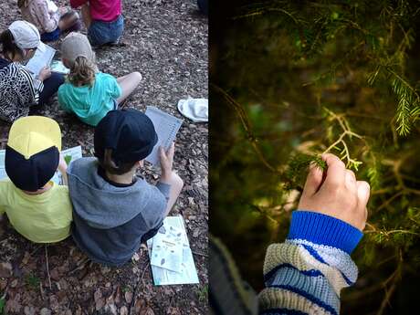 Atelier Nature en Famille "La Forêt au Printemps" - Semaine Famille +