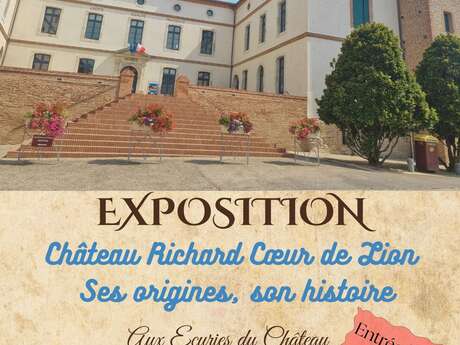 Château Richard Cœur de Lion : ses origines, son histoire