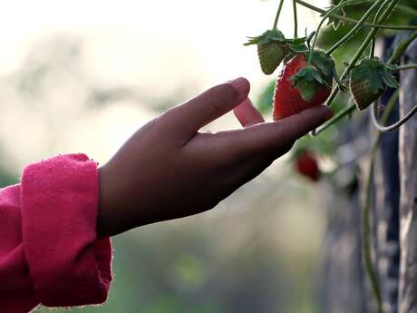 Atelier parcours des 5 sens (1-5 ans) - Nuits de la lecture