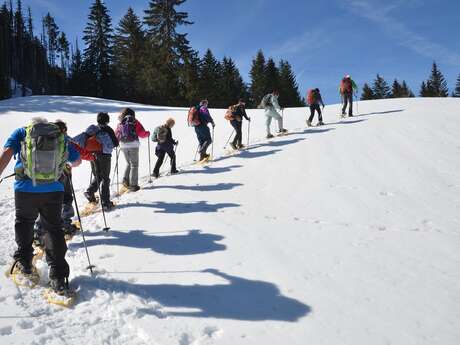 Dagtocht met sneeuwschoenen in de Vallée d'Abondance