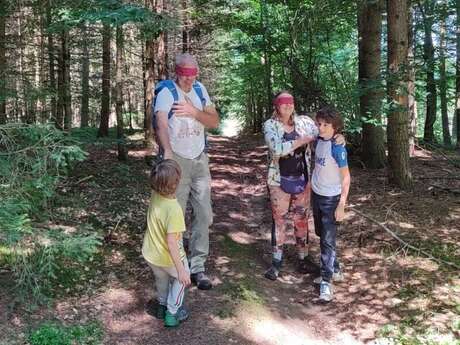 Bain de forêt - Immersion dans la nature
