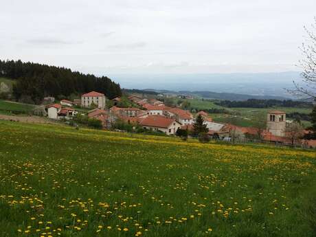 Découverte de la fourme