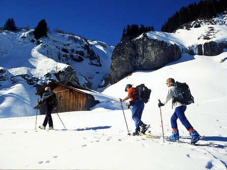 Snowshoeing  with a guide