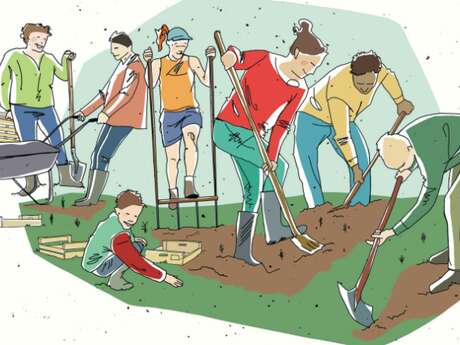 CCampo de trabajo comunitario: arranque de plantas de fresas