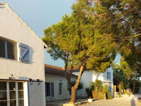 Mas Constantin - Accueillant