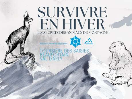 Survivre en hiver : les secrets des animaux de montagne