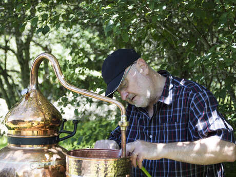 Atelier Découverte de la Distillation (hydrolats et huiles essentielles)