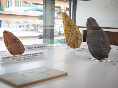 Néandertal et Sapiens : un nouveau regard sur nos origines