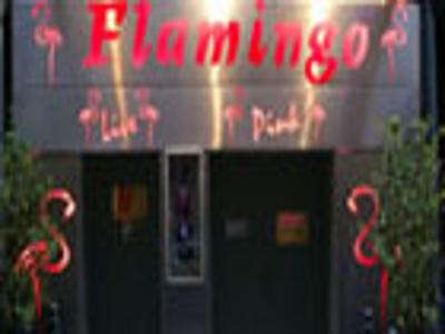 Le Flamingo Live & Pink