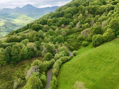 Le Tour de France à Mandailles Saint Julien