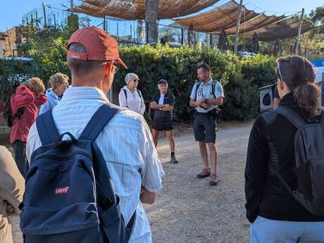 Richesses Croisiennes