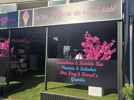 Le royaume des glaces