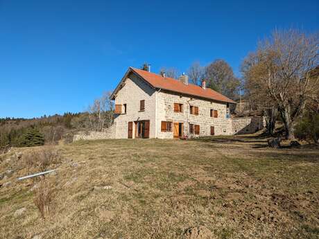 Gite - Les Violettes