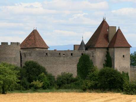 Château de la Roche