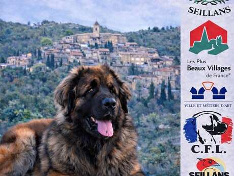 Exposition canine du Club Français du Leonberg