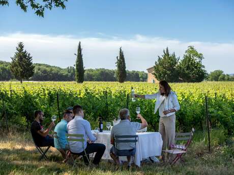 Château Saint Jean Lez Durance