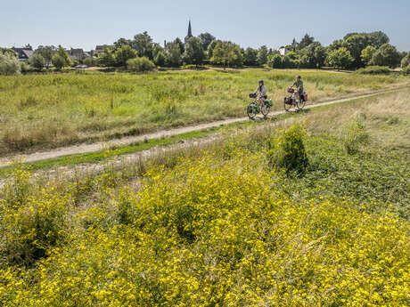The Loir Valley by bike - from Rives-du-Loir-en-Anjou to Angers