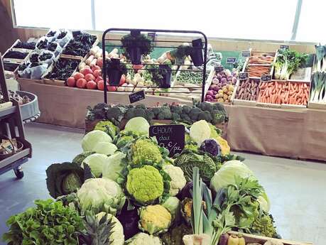 La Récolte des Confines