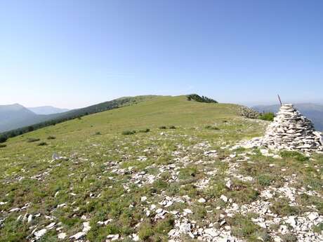 SAINT-ANDRÉ-LES-ALPES - La crête des Serres