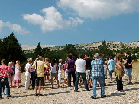 Service des guides du Pays d'art et d'histoire de  Carpentras et du  Comtat Venaissin