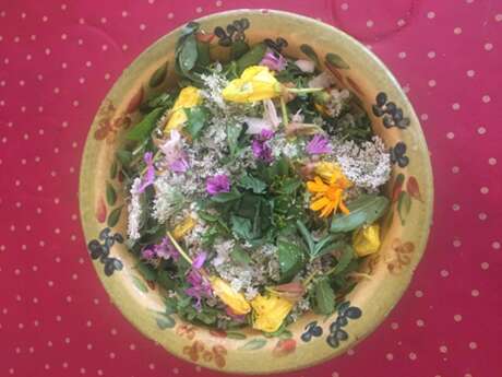 Conférence-repas : la vie secrète des plantes à Mirabeau