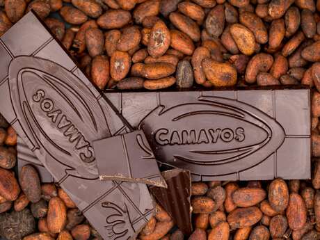 Camayos