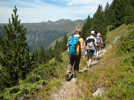 Paseo "Lagos y pastos de montaña" con el Bureau des Guides