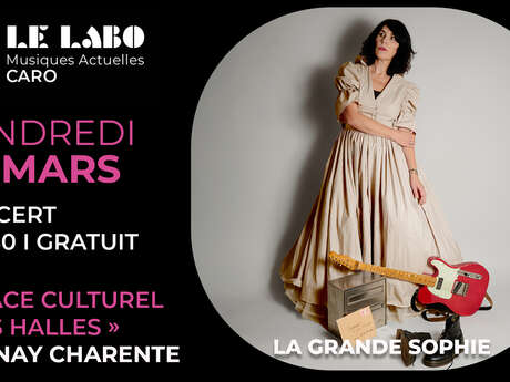 Concert : La grande Sophie, tous les jours Suzanne