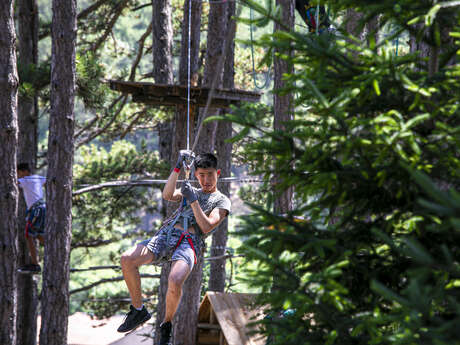 Tree climbing : Advanced level