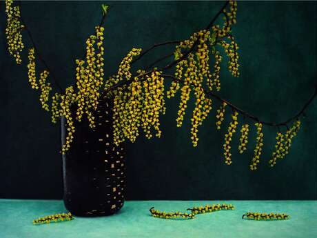 Mostra "ENDLESS WINTER"