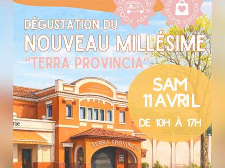 Designer market and tasting at Terra Provincia