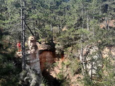 The Provençal Colorado