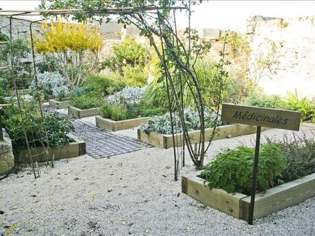 Jardin botanique du musée Balaguier