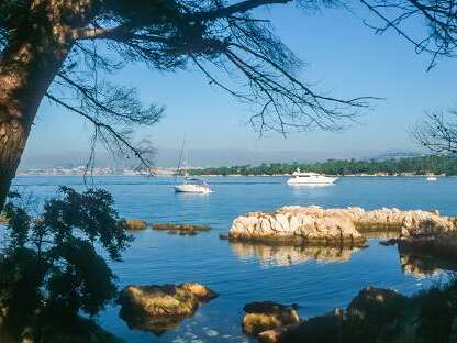 Plages autorisées aux chiens