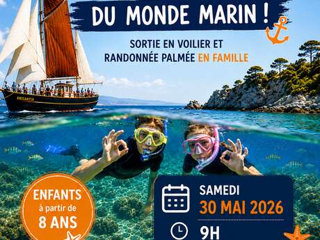 À l'abordage du monde marin !