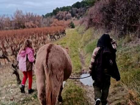 Balade avec les ânes et ateliers créatifs - programme d'animations avec Domaine des Adrès