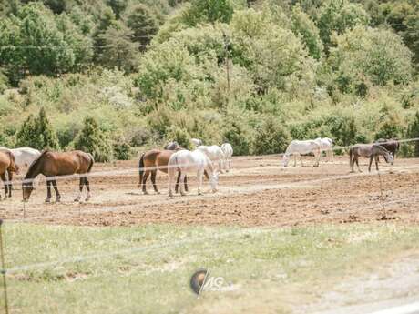 Verdon Equitation