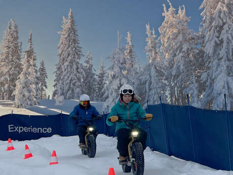 Mini E-Fat Bike Mini E-Fat Bike