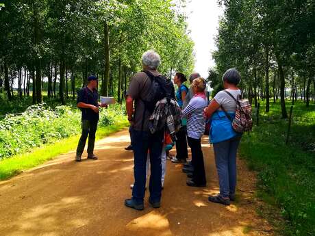 Stage 1/2 journée: Plantes sauvages comestibles