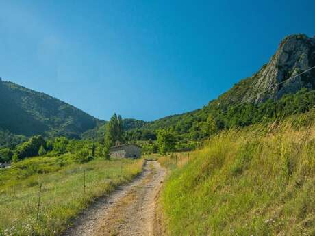 Monk path