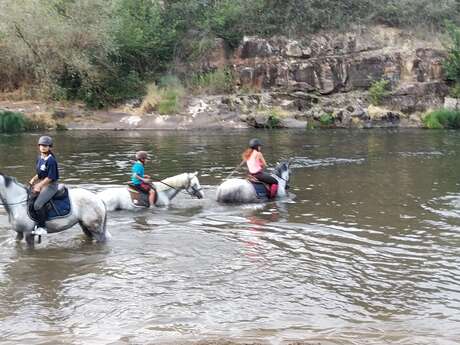 Balades à cheval au bord de l'Allier