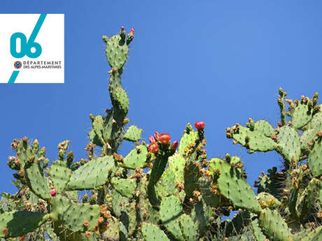 Journée éco-volontaires