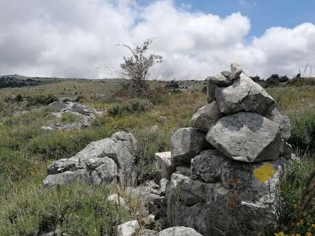 CIPIÈRES - Plateau de Calern