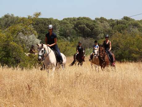 Domaine équestre des Grands Pins & Equi Paradis