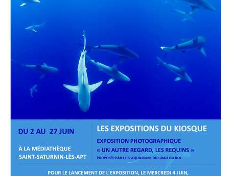 Exposition "Un autre regard, les requins"