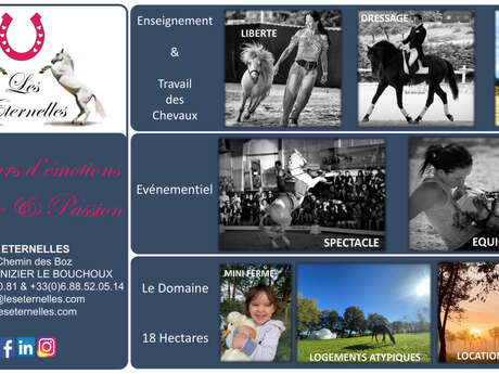 Equi'coaching aux écuries Les Éternelles